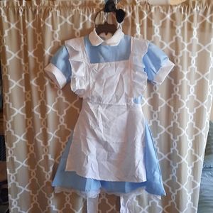 !!2 for $30!! Alice in Wonderland Costume
